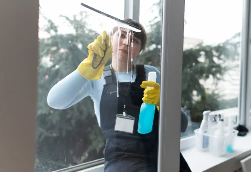 Nettoyage de vitres intérieures et extérieures à Sainte-Croix-en-Plaine